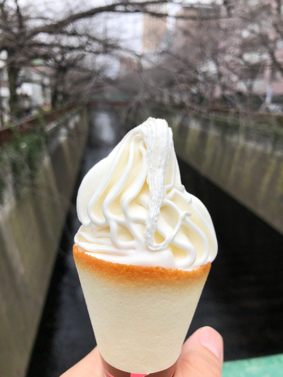 My Latest Tokyo Eats + Recommendations