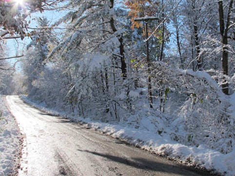 Cookbooks You Need for Fall