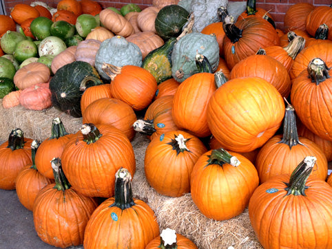 A Very Austin Autumn