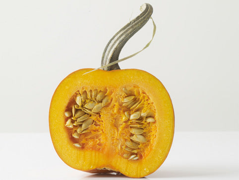 A Whole Bunch of Ways to Get Baked This Fall