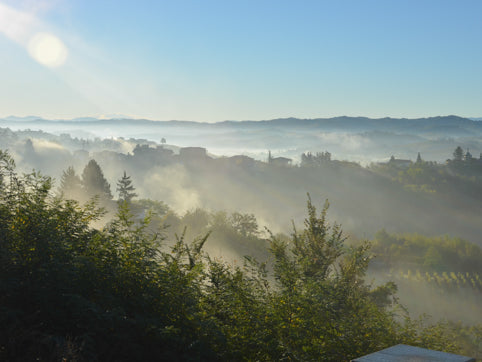 Morning light from a hillside near Castelnuovo Calcea.